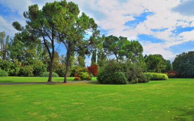 Gita al parco SIGURTA’